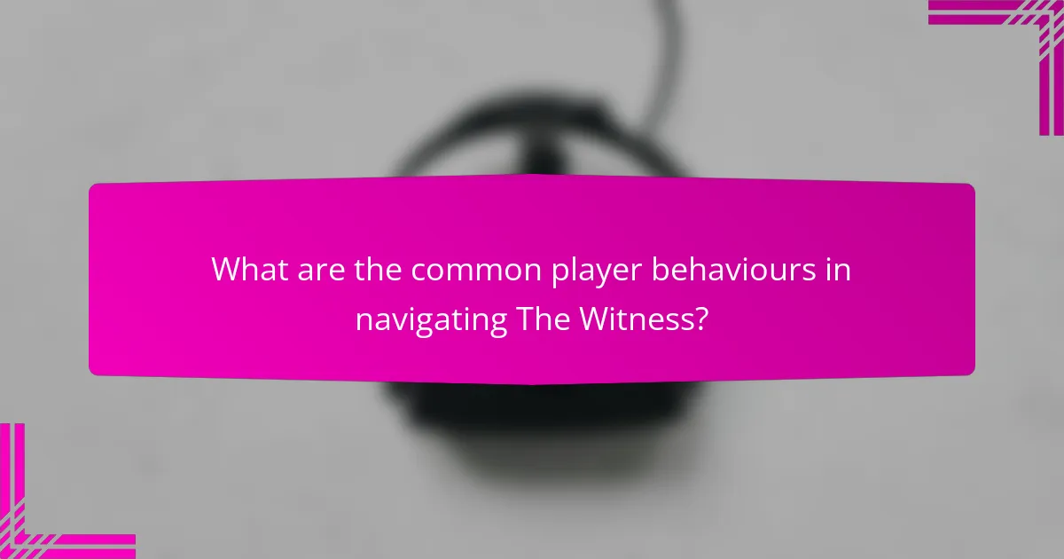 What are the common player behaviours in navigating The Witness?