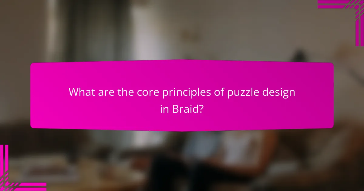 What are the core principles of puzzle design in Braid?