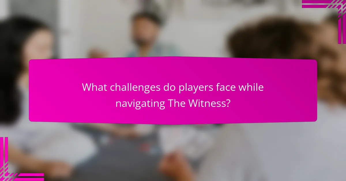 What challenges do players face while navigating The Witness?